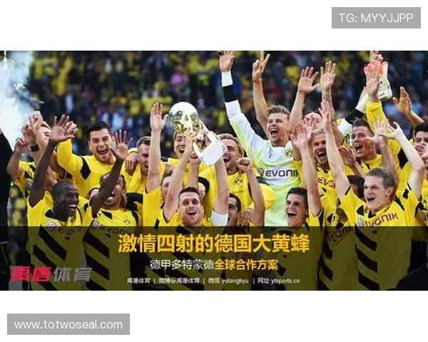 德甲球队主要金主名单及投资背景