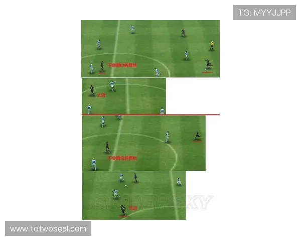 法甲球员训练表现及体能数据综合评估