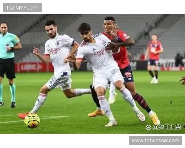 法甲里昂球员伤病对球队战绩的具体影响