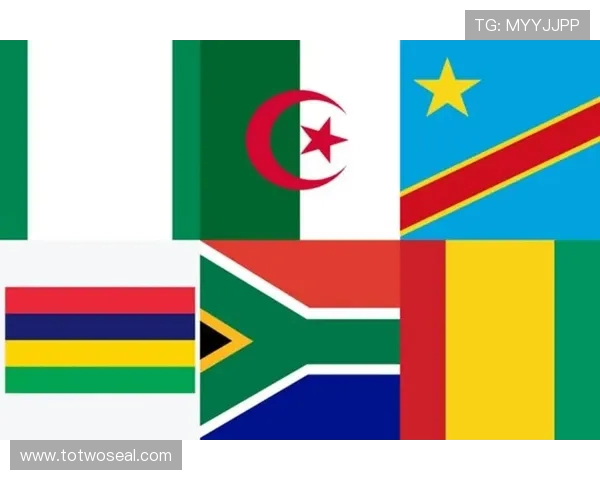 尼日利亚对阵南非体彩赛果解析与走势前瞻全面解读焦点战分析