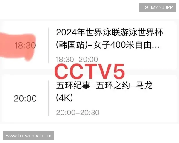 CCTV是否提供世界杯直播服务以及如何观看相关赛事的详细介绍